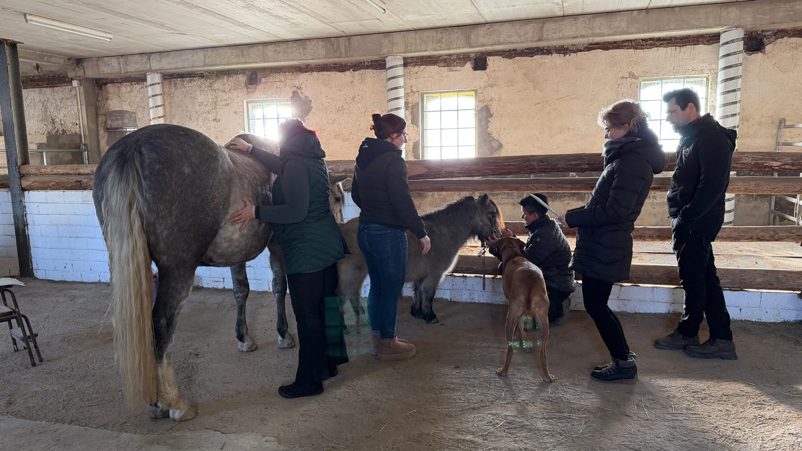 Annett Jakob mit Pony und Hund im Stall
